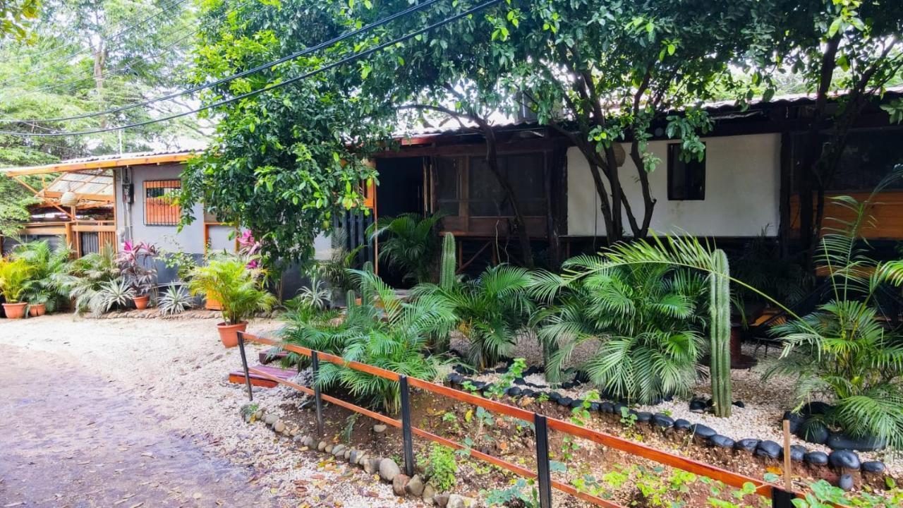 Casa Chaak Tamarindo - Vacation Apartment With Fully Equipped Kitchen 外观 照片